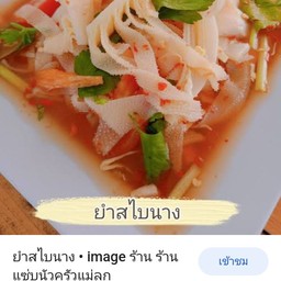 ยำสใบนาง