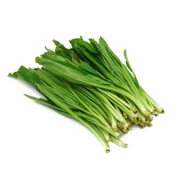 ผักชีฝรั่ง