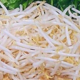 ถัวงอกดิบ