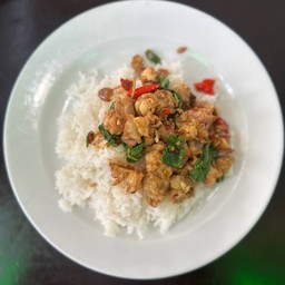 เพาเอ็นไก่ราดข้าว
