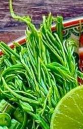 ชะอมสดเด็ดแล้ว