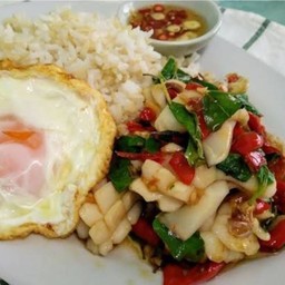 กระเพราปลาหมึก ราดข้าว ไข่ดาว