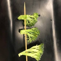 T 西蓝花 บ๊อคเคอรี่