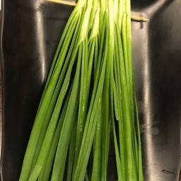 T 韭菜 กุยช่าย