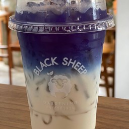 นมอัญชัน