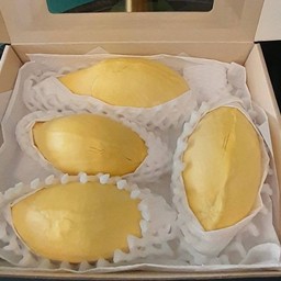 เนื้อทุเรียนหมอนทอง 1 กิโล พร้อมกล่อง (DurianMonthong 1 kg with box)