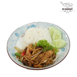 ผัดขิงไก่ ราดข้าว