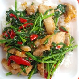 ผัดผัดบุ้งหมูกรอบ ราดข้าว