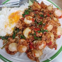 หอยเชลล์ ผัดกระเพรา (กับข้าว)