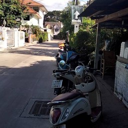 เชฟต่าย-เต้ย อาหารตามสั่ง/มหาชัย/ 1