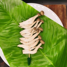 เห็ดชิเมจิ