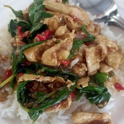 ข้าวกระเพราไก่