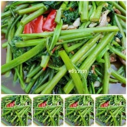 ผัดผักบุ้ง