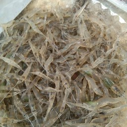 กุ้งเต้นอย่างเดียว