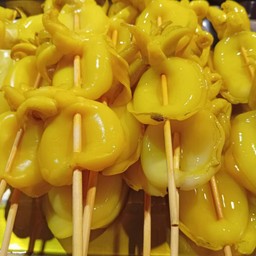 หมึกกระดองเจาะ