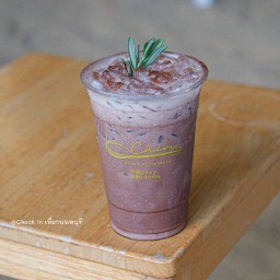 โกโก้เย็น (20 oz)