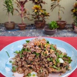ลาบเหนือ (สล่าลาบ)