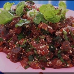 ต้นอ้อยแซ่บนัวร์ ตลาดไอคิว