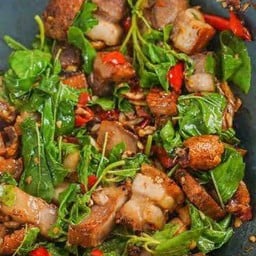 ข้าวต้มร่มไทร