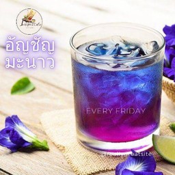 อัญชัญมะนาวแยกน้ำแข็ง