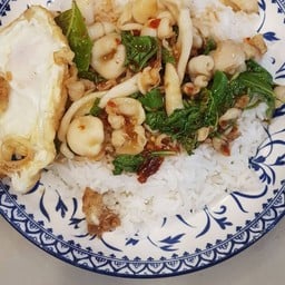 ข้าวกระเพราปลาหมึก