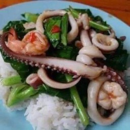 ผัดคะน้าทะเล