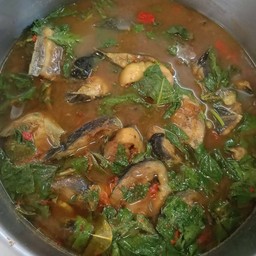 ปลาดุกใบยี่หร่า