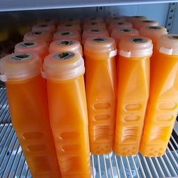 น้ำส้มสด