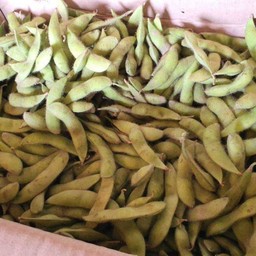 ถั่วแระดิบ 1 กิโลกรัม