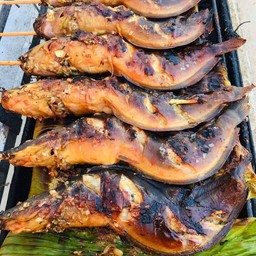 ปลาดุกย่าง