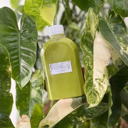 ชาเขียวนม (250ml)