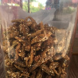 ปลากรอบ