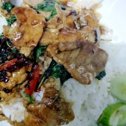 กะเพราแม่พลอย บางบอน3