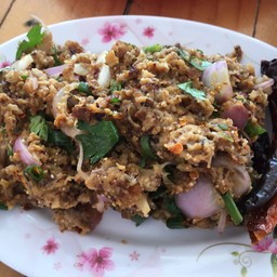 ลาบปลาดุก