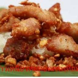 ครัวป้าตุ๋ยข้าวเหนียวหมูอาหารตามสั่ง