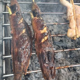 ปลาดุกย่าง