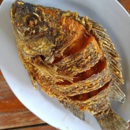 ปลานิลทอด