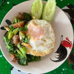ข้าวคะน้าหมูกรอบ