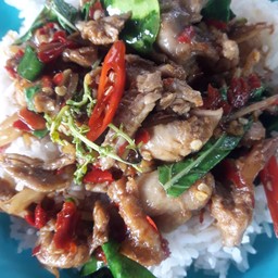 เจ๊กุ้งอาหารตามสั่ง-อาหารป่า