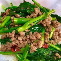 ข้าวคะน้าหมูสับ