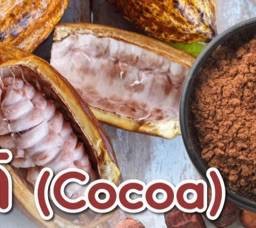 โกโก้  coco