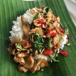 กระเพรา โคตรคุ้ม