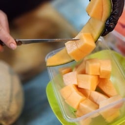 แคนตาลูป