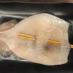 T 鱿鱼 ปลาหมึก