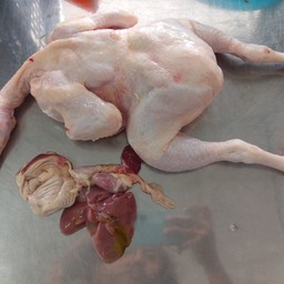 ไก่กลม+เครื่องใน