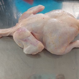 ไก่ตัว NY
