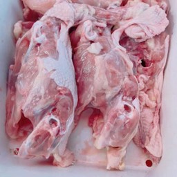 โครงไก่