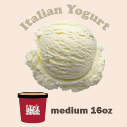 Italian Yogurt (Medium)