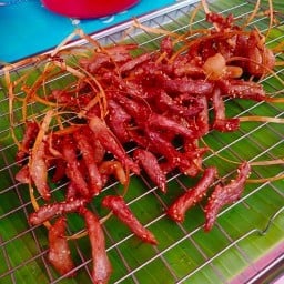 พิซซ่า ซ่าซ่า