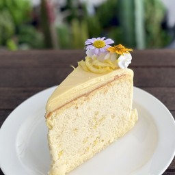 เลมอนชีสเค้ก Lemon Cheese Cake